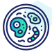 icon service 5