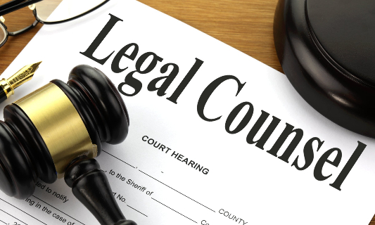 Legal Advisor 1 legal advisor cover web